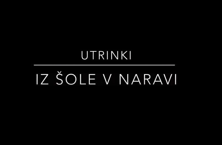 Utrinki iz šole v naravi